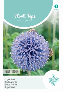 Echinops Ritro (Kogeldistel)