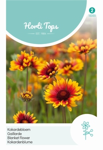 Gaillardia Aristata (Kokardebloem)