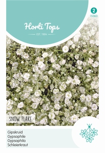 Gypsophila Paniculata Snow Flake Dubbel. Wit