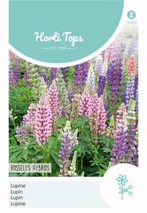 Lupinus polyphyllus Russell's Hybr. gemengd