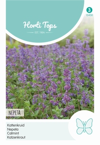 Nepeta mussinii (Kattekruid)