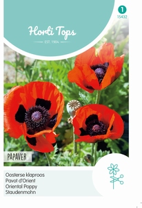 Papaver Orientale Gemengd - klaproos