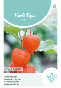 Physalis Franchetti Gig.(Lampionplant)
