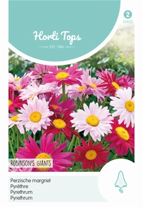 Pyrethrum hybridum Robinson's Giants gemengd