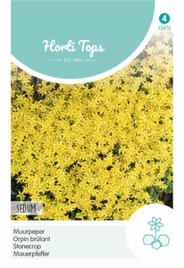 Sedum Acre, Geel (Muurpeper)