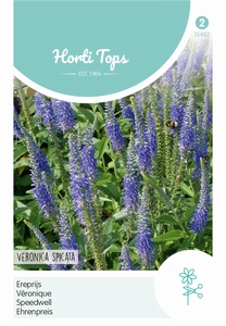 Veronica Spicata (Ereprijs) Blauw
