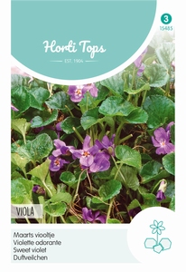 Viola Odorata (Maarts Viooltje)