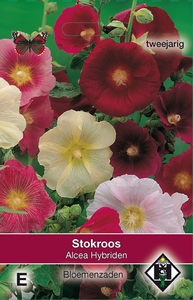 Alcea ficifolia Hybriden