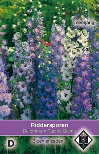 Delphinium cultorum Pacific Giant