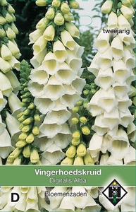 Digitalis purpurea Alba