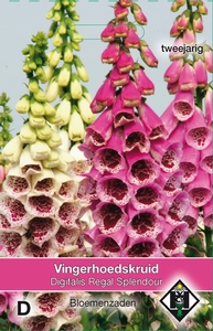 Digitalis purpurea Regal Splendour  Vingerhoedskruid