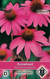 Echinacea purpurea (Zonnehoed)