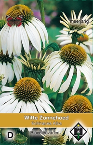 Echinacea purpurea Alba (Witte Zonnehoed)