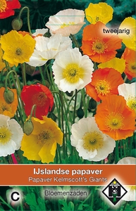Papaver nudicaule Kelmscott's Giants