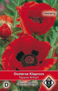 Papaver orientale Brilliant