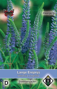 Veronica longifolia Lamge Ereprijs   (OP=OP)