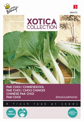 Paksoi -  Kanton - Pak choi Chinese kool