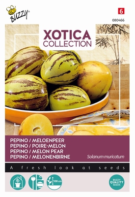 Meloenpeer Pepino - Solanum muricatum
