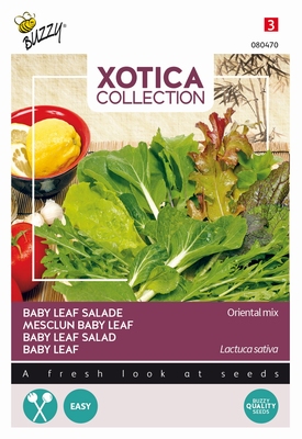 Salade Oriental Mix - Salade Baby Leaf - Orientaals mengsel