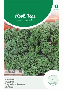 Boerenkool Westlandse Herfst, laat type