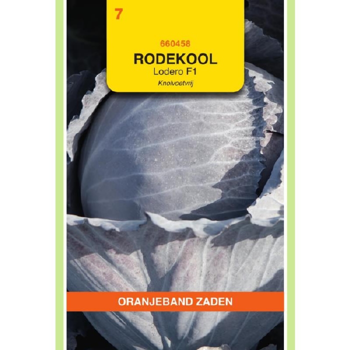 Rodekool - Rode Kool - Lodero F1, Knolvoetvrij