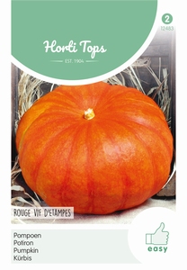 Pompoenen Rode van Etampes - Rouge vif d' Etampes