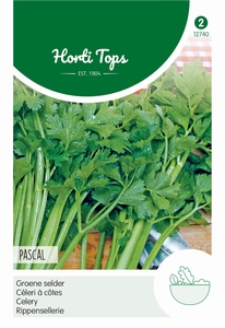 Selderie -  Pascal, Groene Volpijp