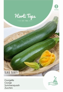 Courgette Black Beauty - Verte De Milan