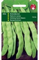 STOKSNIJBONEN Helda - stoksnijboon