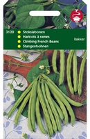 STOKSLABONEN Rakker   - stokslaboon
