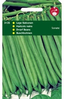 STAMSLABONEN Sonate -  stamslaboon