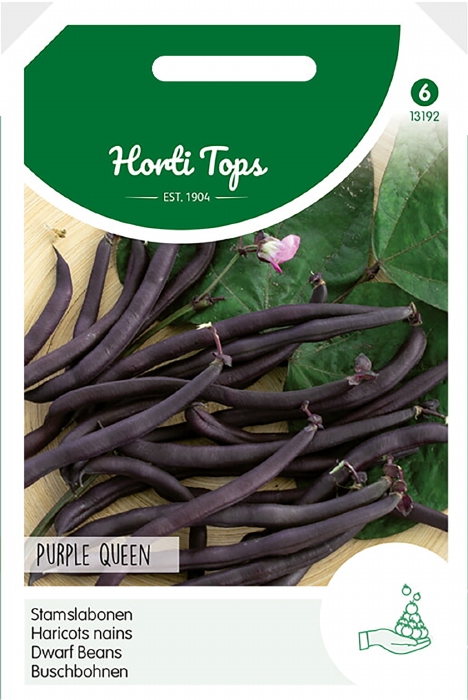 STAMSLABONEN Purple Queen, echte paarse boon -  stamslaboon