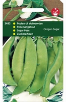 PEULEN Oregon sugar (90 cm) Suikerpeul  -  peultjes