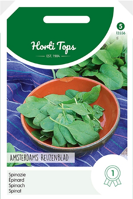 SPINAZIE Amsterdams reuzenblad