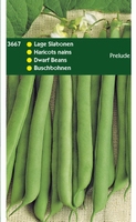 STAMSLABONEN Prelude  -  stamslaboon