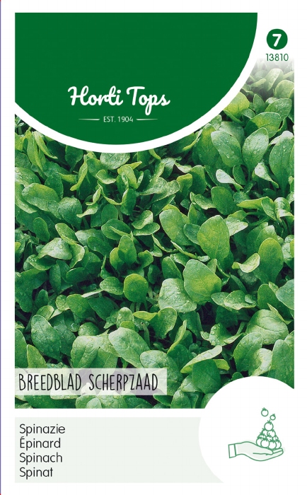 SPINAZIE breedblad zomer, scherp zaad