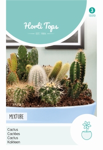 Cactus All-Round Mengsel, vele soorten