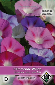 Ipomoea purpurea Lazy Luxe Mix