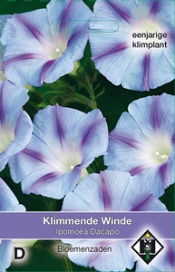Ipomoea purpurea Dacapo
