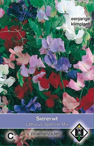 Lathyrus odoratus Spencer Mix