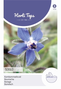 Komkommerkruid, Borage (Borago)
