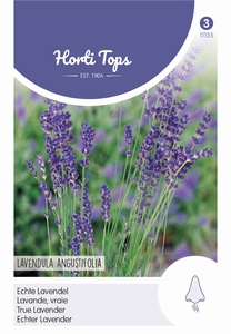 Lavendel, echte  (overblijvende)