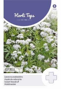 Lievevrouwebedstro, echte Bedstro Asperula  (overblijvende)