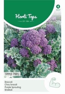 Broccoli - paars- Summer Purple