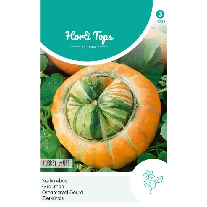 Cucurbita Turbani.Turkse Muts  (pompoenachtige)
