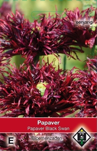 Papaver somniferum Black Swan   (klaproos)