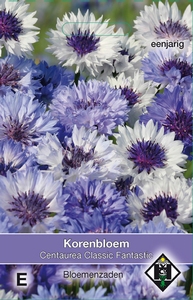 Centaurea cyanus Classic Fantastic - Korenbloem