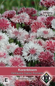 Centaurea cyanus Classic Romantic - Korenbloem