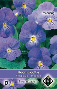 Viola cornuta Blue Perfection