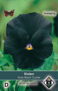 Viola x wittrockiana Black Cristal